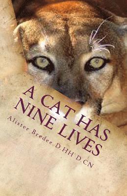 bokomslag A Cat Has Nine Lives: And so do you.