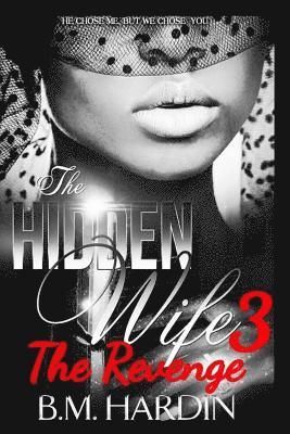 bokomslag Hidden Wife 3
