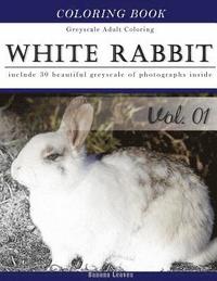 bokomslag White Rabbits: Gray Scale Photo Adult Coloring Book, Mind Relaxation Stress Relief Coloring Book Vol1: Series of coloring book for ad