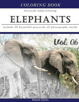 Banana Leaves - Elephants Wild Safari: Animal Gray Scale Photo Adult Coloring Book, Mind Relaxation Stress Relief Coloring Book Vol6: Series of coloring book, Häftad
