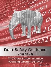 bokomslag Data Safety Guidance