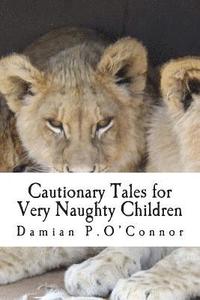 bokomslag Cautionary Tales for Very Naughty Children