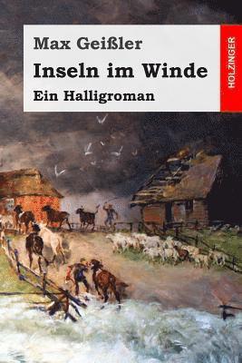 Max Geiler - Inseln im Winde: Ein Halligroman, Häftad