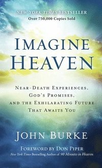 bokomslag Imagine Heaven
