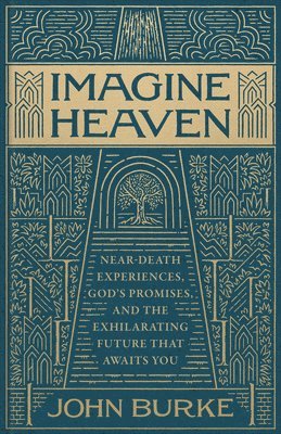 bokomslag Imagine Heaven