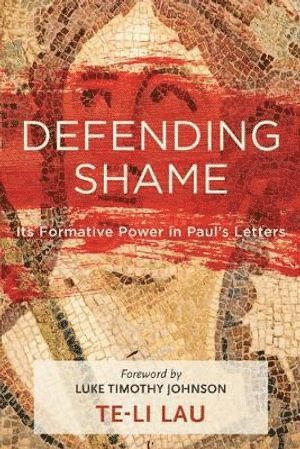 bokomslag Defending Shame