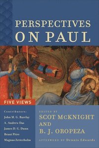 bokomslag Perspectives on Paul  Five Views