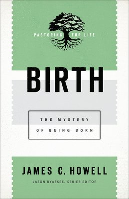 bokomslag Birth