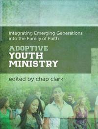 bokomslag Adoptive Youth Ministry