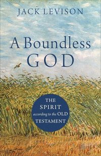 bokomslag A Boundless God