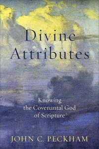 bokomslag Divine Attributes  Knowing the Covenantal God of Scripture