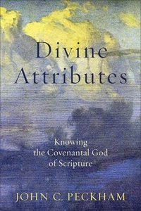bokomslag Divine Attributes - Knowing the Covenantal God of Scripture