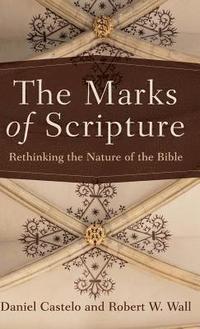bokomslag Marks of Scripture
