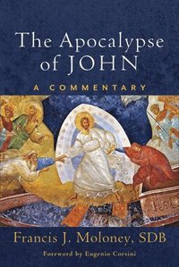 bokomslag The Apocalypse of John  A Commentary