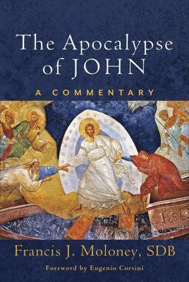 The Apocalypse of John  A Commentary 1