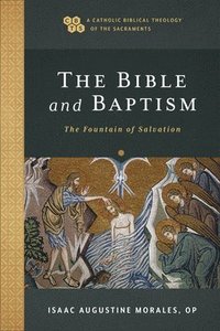 bokomslag The Bible and Baptism  The Fountain of Salvation