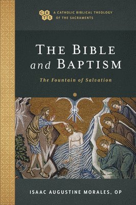 bokomslag The Bible and Baptism  The Fountain of Salvation