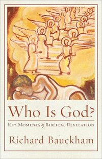 bokomslag Who Is God?  Key Moments of Biblical Revelation