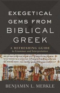bokomslag Exegetical Gems from Biblical Greek
