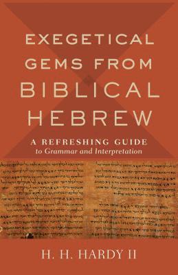 bokomslag Exegetical Gems from Biblical Hebrew