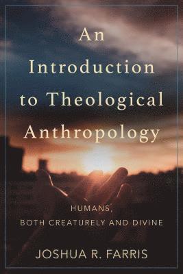 bokomslag Introduction to Theological Anthropology