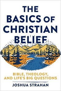 bokomslag Basics of Christian Belief