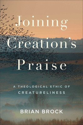 bokomslag Joining Creation's Praise