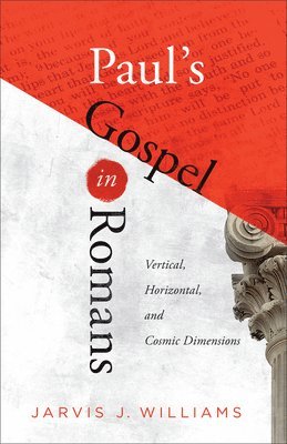 bokomslag Paul's Gospel in Romans: Vertical, Horizontal, and Cosmic Dimensions