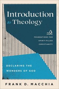 bokomslag Introduction to Theology  Declaring the Wonders of God