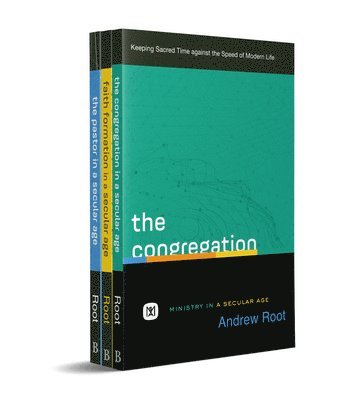 Root, A: Ministry in a Secular Age Set