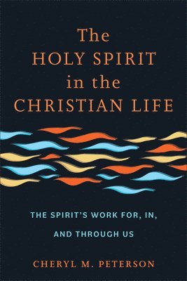bokomslag Holy Spirit in the Christian Life