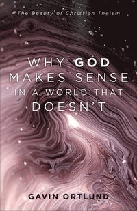 bokomslag Why God Makes Sense in a World That Doesn`t  The Beauty of Christian Theism