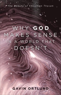 bokomslag Why God Makes Sense in a World That Doesn`t - The Beauty of Christian Theism