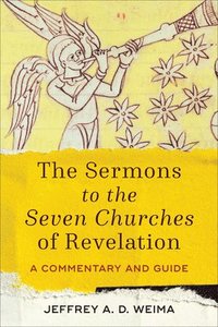 bokomslag Sermons to the Seven Churches of Revelation