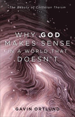 bokomslag Why God Makes Sense in a World That Doesn't