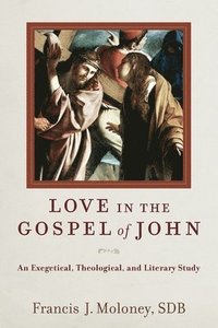 bokomslag Love in the Gospel of John