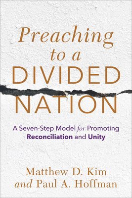 bokomslag Preaching to a Divided Nation  A SevenStep Model for Promoting Reconciliation and Unity