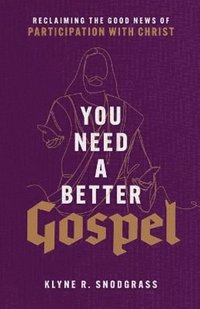 bokomslag You Need a Better Gospel  Reclaiming the Good News of Participation with Christ