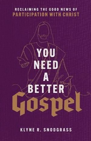 bokomslag You Need a Better Gospel - Reclaiming the Good News of Participation with Christ