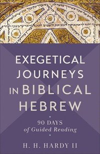 bokomslag Exegetical Journeys in Biblical Hebrew
