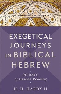 bokomslag Exegetical Journeys in Biblical Hebrew