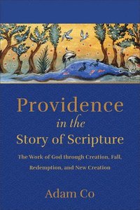 bokomslag Providence in the Story of Scripture