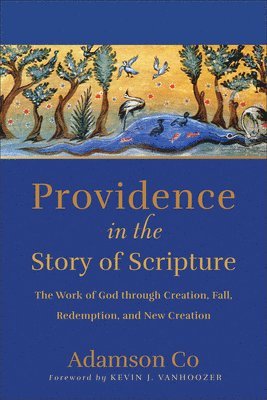 bokomslag Providence in the Story of Scripture