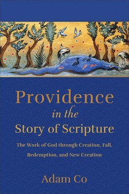 Providence in the Story of Scripture 1