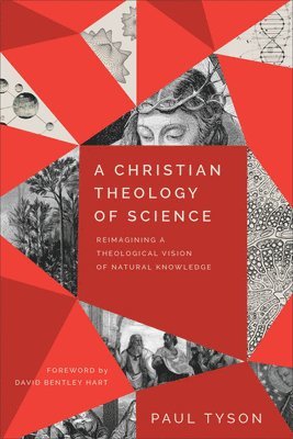 bokomslag Christian Theology of Science