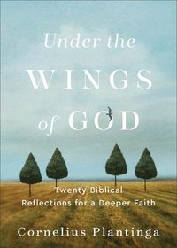 bokomslag Under the Wings of God  Twenty Biblical Reflections for a Deeper Faith
