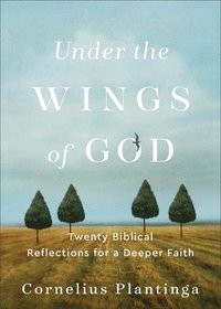 bokomslag Under the Wings of God - Twenty Biblical Reflections for a Deeper Faith