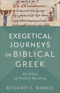 bokomslag Exegetical Journeys in Biblical Greek