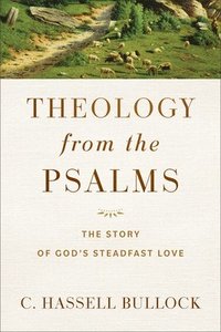 bokomslag Theology from the Psalms