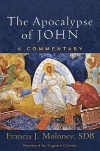 bokomslag Apocalypse of John